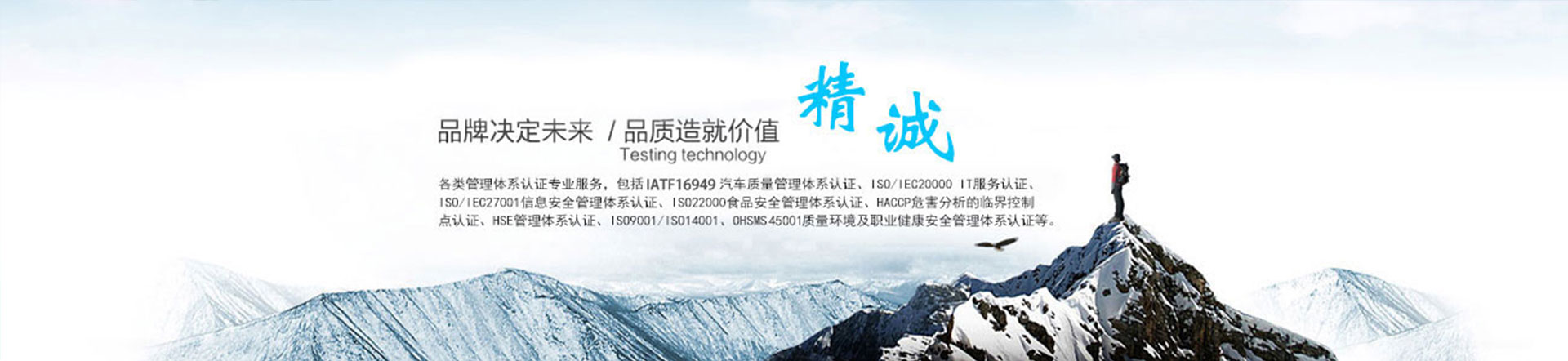 山东精诚智盛标准化服务有限公司